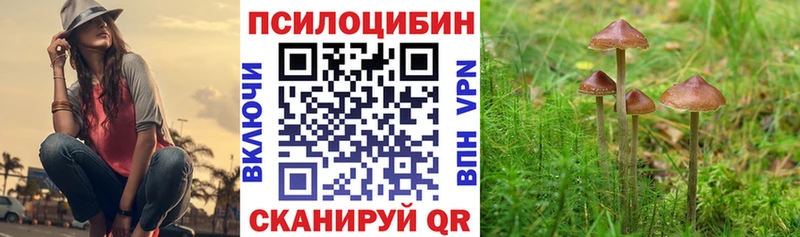 ссылка на мегу сайт  Качканар  Псилоцибиновые грибы Psilocybe 