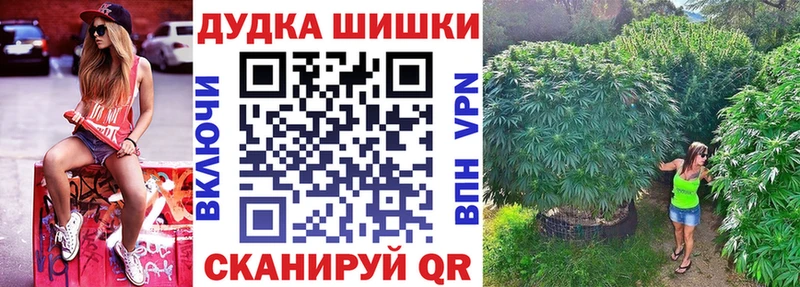наркота  Качканар  shop телеграм  Бошки марихуана семена 