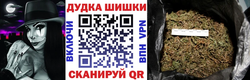 Каннабис планчик Качканар